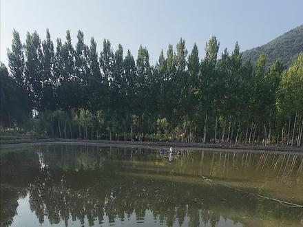 这里打滑漂,高手如云,各个身怀绝技 一把麦粒钓青鱼#千谷川山谷 #滑漂远投 #钓鱼技巧