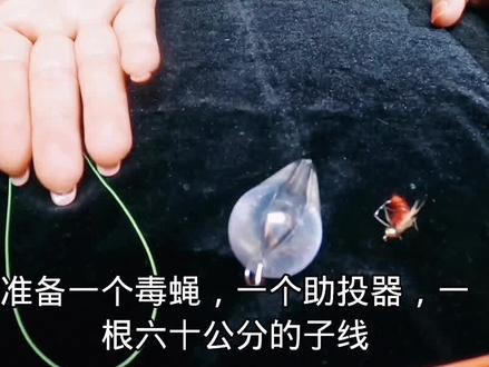 #路亚绑线教学 #微物路亚 #钓鱼季,3秒钟线组,学会绑线,路亚不迷路#毒蚊毒蝇冰丝虾易上手绑线教程#路亚假饵
