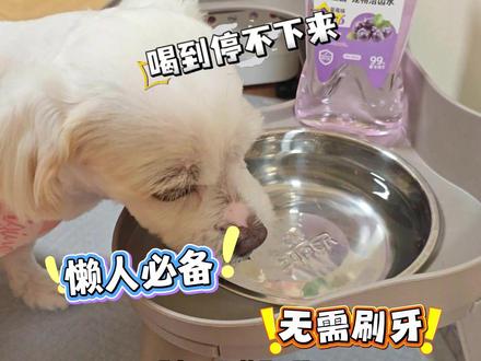 毛孩子抗拒刷牙或者家长没时间给刷牙 试试这个宠物洁齿水 #宠物洁齿水 #宠物口腔护理 #养宠进阶指南 #萌宠好物 #养狗经验分享
