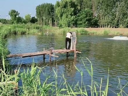 鱼塘没事,塘主没事,还救回来一个受伤的狗狗,我爱这个热爱生活的老孟😊