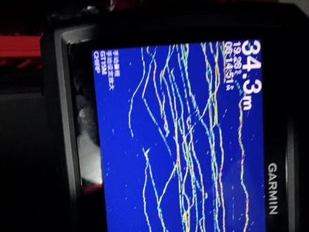 不同的鱼情不同的环境下使用的GT15、GT8、GT22~效果嘎嘎的好~所以选择适合自己的就好~