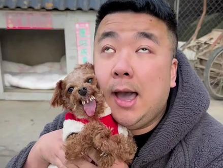 赛博人物传第二期 摸摸哥#青年创作者成长计划 #邪恶泰迪 #摸摸哥 #抽象 #搞笑