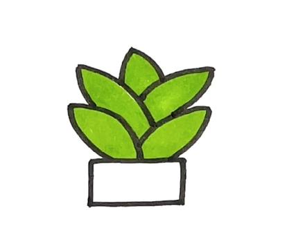 肉肉—芦荟#简笔画 #简笔画教程 #每日一画