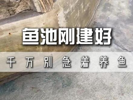 鱼池刚建好 千万不要马上放鱼,这几点开池步骤你做好了吗?#养鱼 #鱼池
