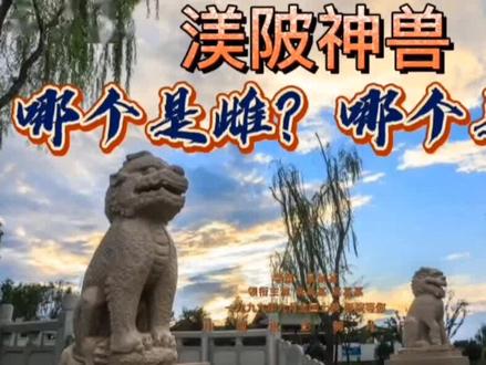 西安人文:渼陂神兽“白泽”,那个是雌兽?那个是雄兽?