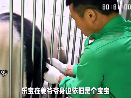 姜爷爷这一周过的真充实 #睿宝辉宝