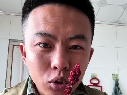 少放,真酸。#记录真实生活 #养生 #美食 #大自然的馈赠 #抖音美食推荐官