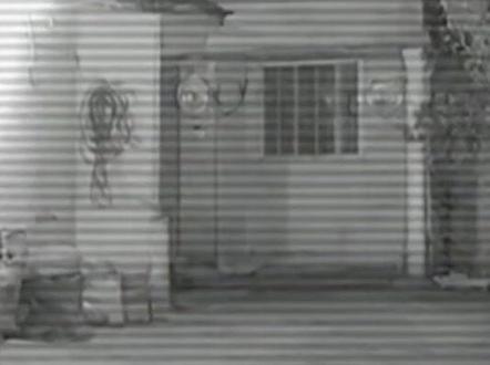 大事不妙雷霆猪#白虎 #看海