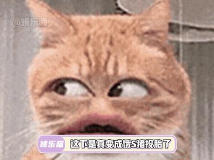 真的合理又搞笑,哈哈哈哈#吃播 #kibo #万万想不到 #搞笑