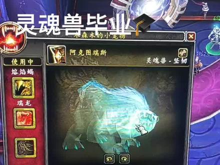 #游戏 #魔兽世界 #游戏精彩时刻 #游戏日常 魔兽世界灵魂兽!毕业啦!想拥有么?了解技巧来.#一起玩游戏
