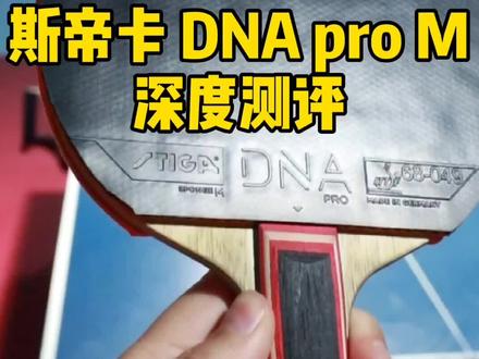 乒器谱-斯帝卡DNA M深度测试 #八戒乒乓 @陈超 @anthony