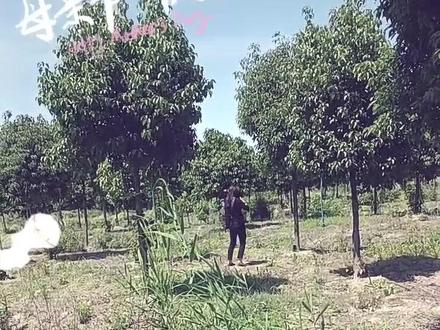 一个环境不错的钓龙虾好地方