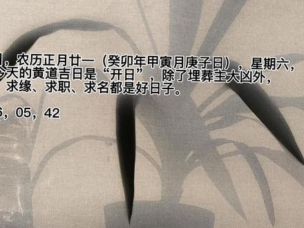2023.2.11运势#运势早知道 #每日推荐 #大数据推荐给有需要的人 #预测人生#2023兔宝宝