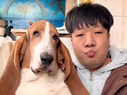 家人们谁懂啊!养巴吉度的快乐,你们根本想象不到!出门遛狗都不用牵绳,直接提耳朵就走!#宠物 #狗狗 #萌宠出道计划 #世界破烂小狗可可爱爱 #画画