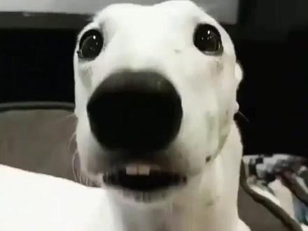 为什么买个耳钉都这么危险!#勤奋 #首饰 #纯银 #安全 #离谱