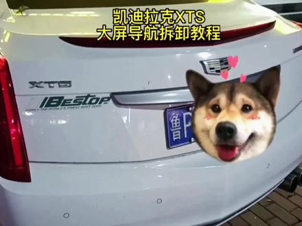 #每天一个用车知识 #抖音汽车 #带你懂车 #dou是好车
凯迪拉克XTS大屏导航拆卸教程
凯迪拉克XTS触摸屏更换