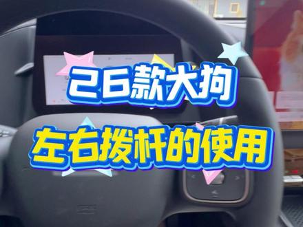 26款哈弗大狗拨杆操作指南,新手必看 #哈弗大狗 #哈弗