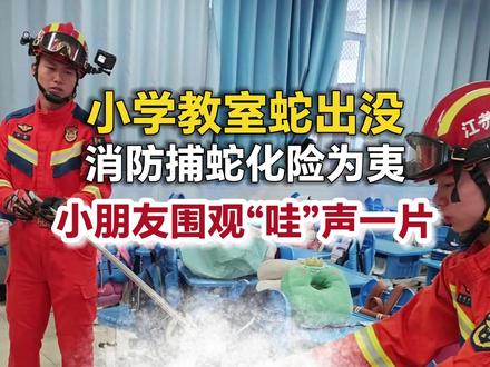 小学教室蛇出没,消防捕蛇化险为夷,小朋友围观“哇”声一片