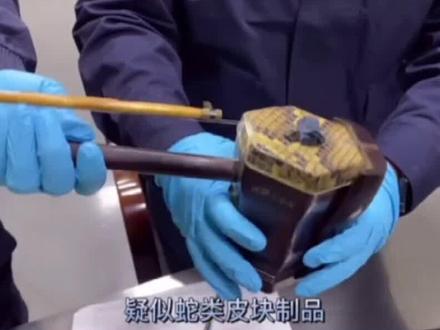 #海关 #濒危 一把看似平平无奇的二胡 蟒蛇皮制琴筒,随意寄递违规