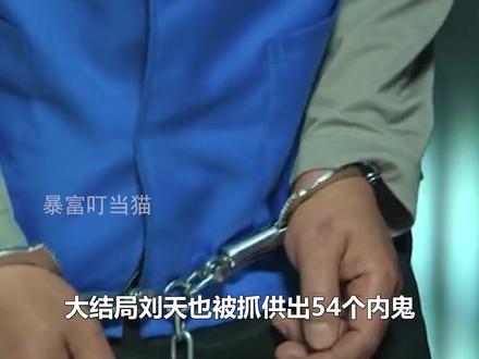 大结局刘天也被抓供出54个内鬼,弘副市长被枪毙,秦枫升为局长 #罚罪2 #黄景瑜 #李幼斌 #王传君 #梁洁