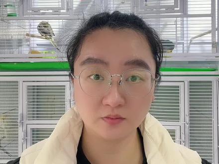 家里母鹦鹉总下蛋,教你四招减少繁殖欲#鹦鹉小白 #鹦鹉日常 #手养鹦鹉