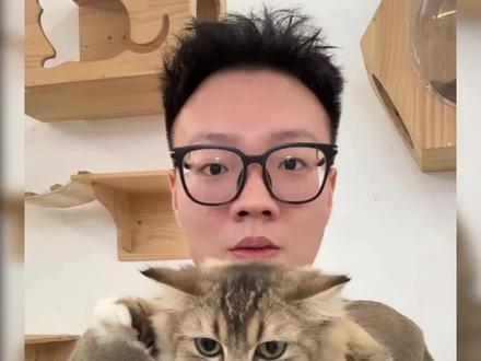 盘点猫咪“底层代码”,据说每只猫都逃不过#猫咪底层代码 #底层代码 #猫咪的迷惑行为 #猫的bug