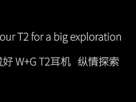 W+G T2内部群流出来的杜比音源云试听,吊咋天了!