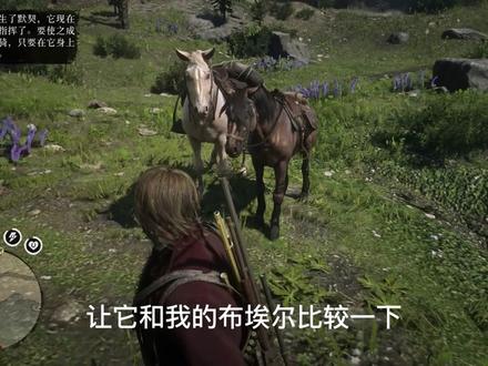 荒野大镖客2随机刷马能刷出什么马?夏尔马?虎纹野马?布埃尔?