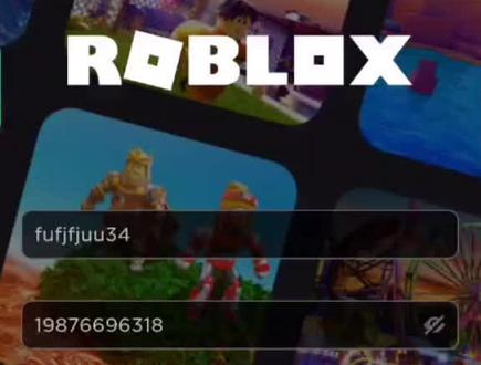 #roblox 这咋回事啊?