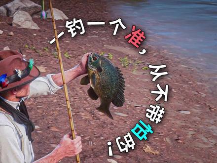 传说鱼钓点与抛竿指南,一钓一个准!【荒野大镖客2】