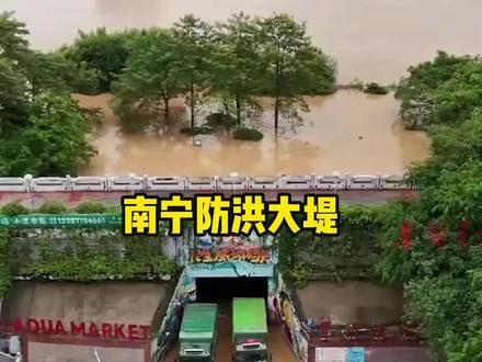南宁民生码头防洪大堤,守住了最后一道防线 #南宁洪水