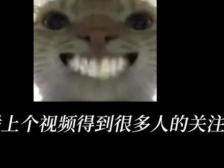 对于codex的理解 #codex #AI #曼波配音 #chatgpt应用领域 #热门