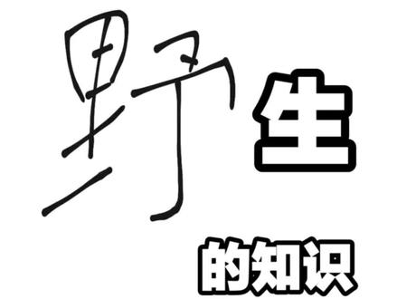 为什么一些电影有FBI Warning?#野生的知识 #dou是知识点 #涨知识 #十万个为什么抖音都知道 #冷知识
