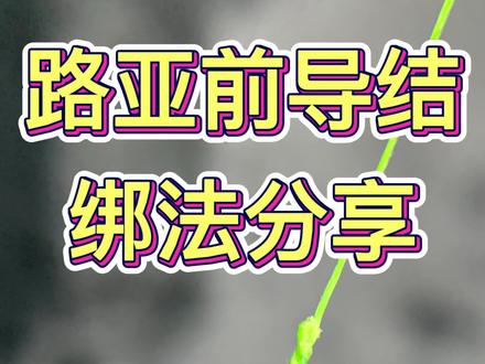 #路亚 #路亚钓鱼 路亚新手必学快速前导结绑法!