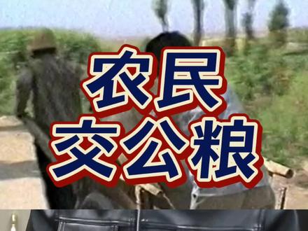 #交公粮 #农民 #中国农村 #农民生活 #农村发展