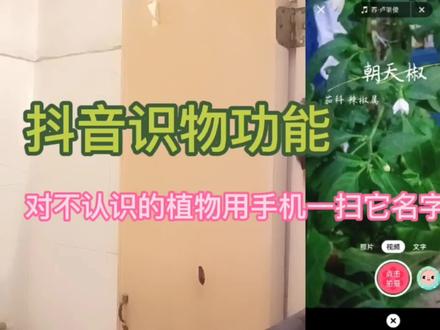 抖音识物功能,对不认识植物用手机一扫它名字就出来了#抖音自然