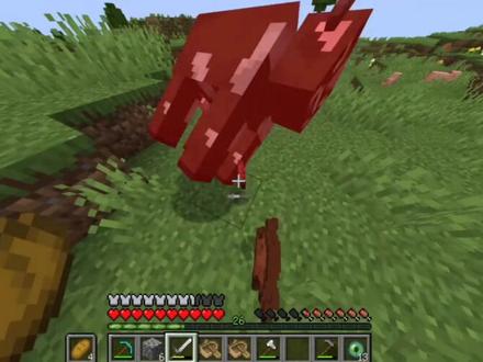 我的世界凋零风暴生存第三期 风暴进化