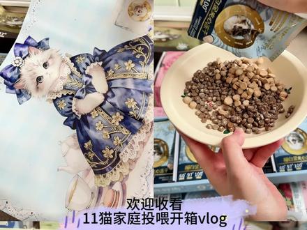 vlog 开箱|欢迎收看11猫家庭日常开箱vlog#萌宠出道计划 #铲屎官的乐趣 #喜喵猫粮 #喜喵喵白金 #喜喵喵白金猫粮