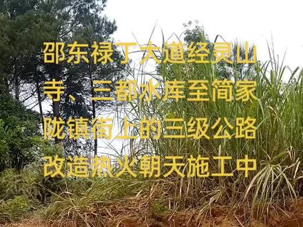 总投资7380万,修好了邵东至简家陇开车只要40分钟时间。想享受原生态的吃喝玩乐购就点击斫曹乡“乐颜小筑”来多种消费套餐任君选择#最新消息 #振兴乡村 #农村生活@幸福之家水电 @味派 @用户854854 @王老虎