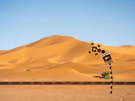 交通灯追赶自行车#火车儿童动画