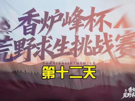 大雪即将来临!场内剩余选手该何去何从?#中原荒野