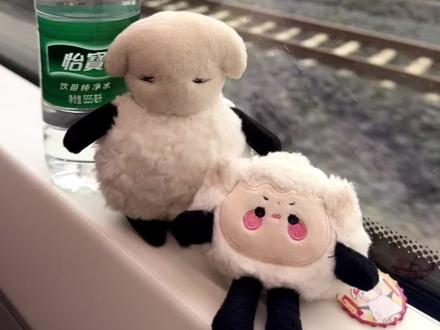 我爱上让我奋不顾身的一个人#易烊千玺 #vlog日常