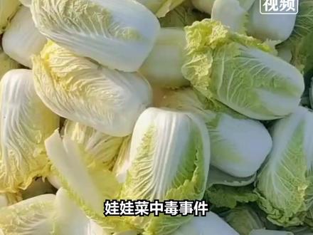 #30秒梳理浙江娃娃菜中毒事件3次反转 2025年12月,#浙江dou知道 台州陈某波夫妻花费17元网购8斤娃娃菜,食用后出现严重中毒症状,送院救治后医院初步诊断为溴鼠灵(#杀鼠剂 )中毒。