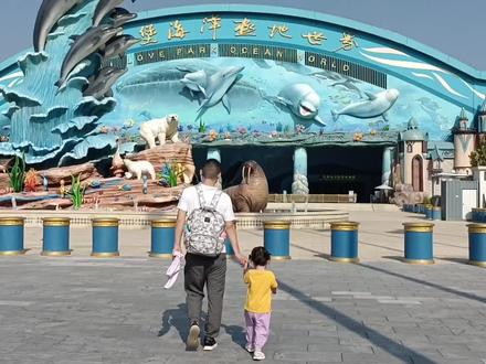 #海洋馆打卡 徐州欧乐堡路线攻略🛣️火车站下车,直接滴滴20元,徐州东站下车,坐地铁1号线到民主北路下车再坐滴滴一个人大概24元,里边吃的东西好贵,一瓶矿泉水5元,一碗牛肉面42元,能带点就带点,但是会有检查的,看你运气喽😂#徐州欧乐堡海洋极地世界 #欧乐堡海洋世界