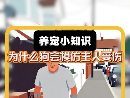 狗子为什么会模仿主人受伤的样子 #狗狗科普 #科学养宠攻略 #养狗的意义