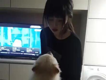 twitter网站有哪些 9de5c1bd5a9e9c12454b2dd803f569bd~tplv-dy-resize-origshort-autoq-75:330.jpeg?x-expires=2012439600&x-signature=fM35PgWrIV%2B2mdf4TMsorRfulVU%3D&from=3213915784&s=PackSourceEnum_AWEME_DETAIL&se=false&sc=cover&biz_tag=pcweb_cover&l=202310121101541A601FD58609A23BD537