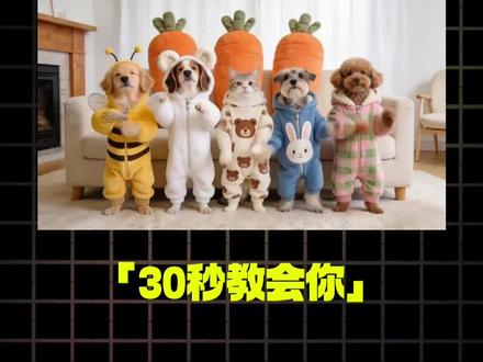 萌宠猫狗ai跳舞视频教程来啦 这种视频非常简单30秒教会你!#真实生活分享计划 #萌宠跳舞 #汪汪雪饼 #零基础学ai #ai创作浪潮计划