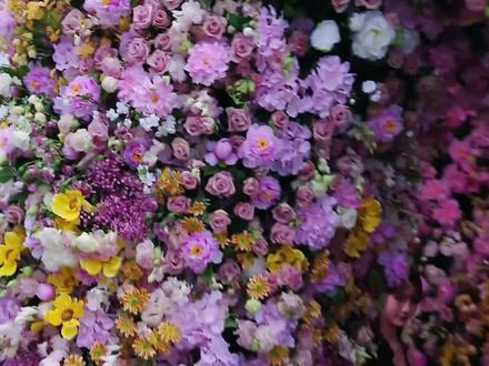 QAnna的2026抖音直播繁花盛典走秀 #Qanna #抖音直播繁花盛典 #女神 #抖音直播