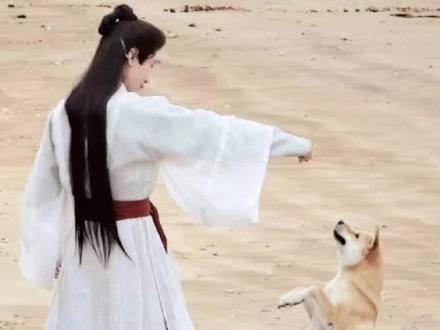 成毅他真的!坐下温柔的拿开了裙摆~#成毅 #狐狸精终于找到了李莲花