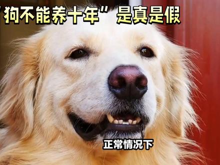 #中视频伙伴计划 @DOU+小助手